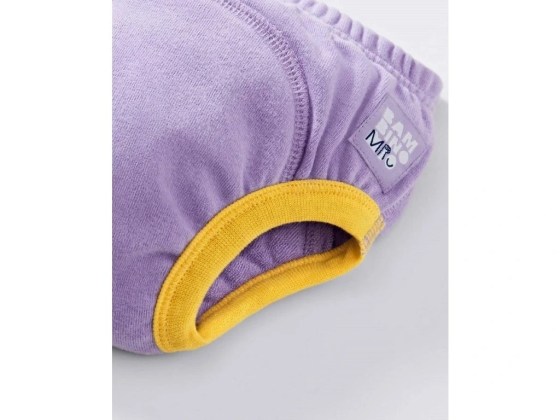 29333-4_image2-pottytrainingpants-detail